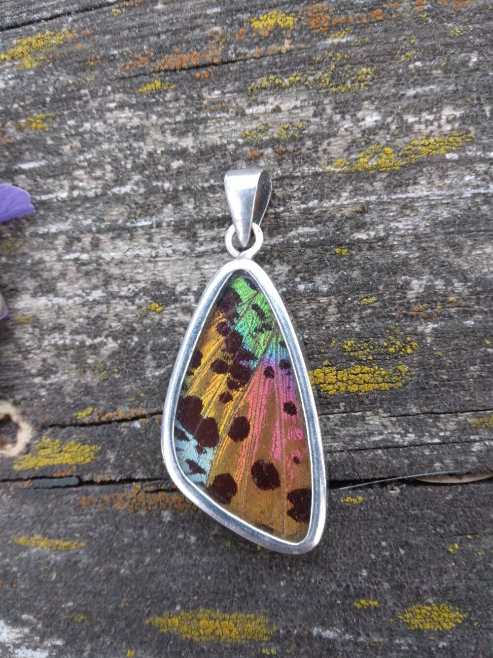 Vintage Sterling Silver Madagascar Sunset Moth Wing Reversable Pendant